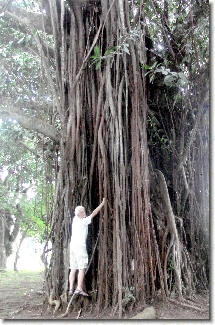 Click for the original image